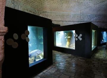 bosnia-and-herzegovina/trebinje/attraction/akvarij-dubrovnik-aquarium