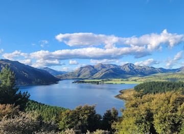 new-zealand/mount-aspiring-national-park/attraction/sticky-forest
