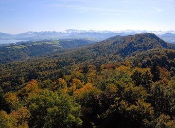 switzerland/zurich/attraction/wildnispark-zurich-sihlwald