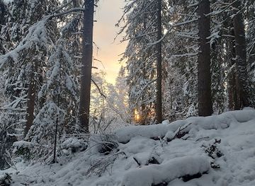 sweden/ostersund/attraction/mjallestigen