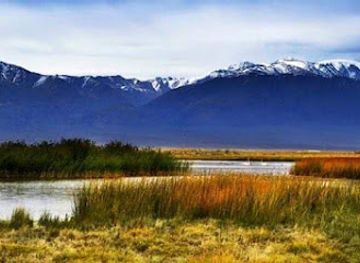 mongolia/khar-nuur/attraction/khar-us-lake