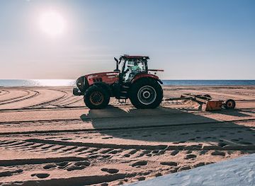 maryland/assateague-island-national-seashore/attraction/explore-oc