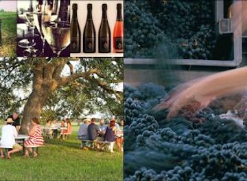 virginia/fredericksburg/attraction/alexander-vineyards