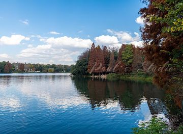south-africa/johannesburg/sandton/attraction/johannesburg-botanical-gardens