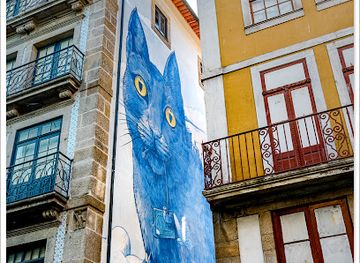portugal/porto/attraction/the-cat