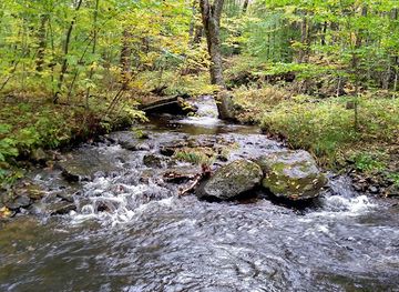 vermont/emerald-lake-state-park/attraction/bromley-mountain-long-trail