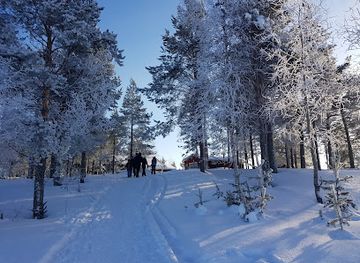 sweden/lapland/attraction/grasjaloren