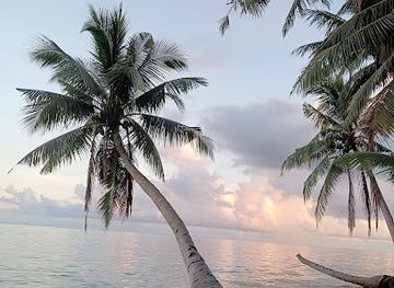 palau/ngemelis/attraction/kuabes-park