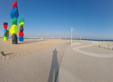 qatar/sealine-beach-resort/attraction/rba-beach