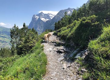 switzerland/grindelwald/attraction/eiger-trail