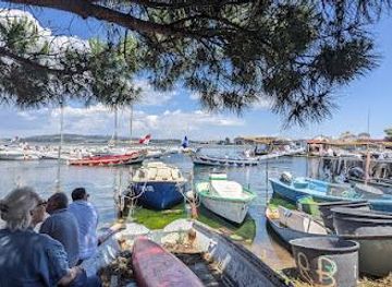 france/montpellier/attraction/la-pointe-courte