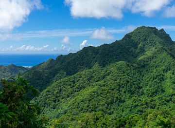 cook-islands/ngatangiia/attraction/ridge-junction-cross-island-hike