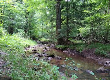 west-virginia/dolly-sods-wilderness/attraction/cathedral-state-park