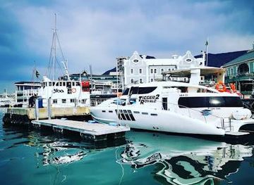 south-africa/cape-town/attraction/tigger-2-exclusive-cruises