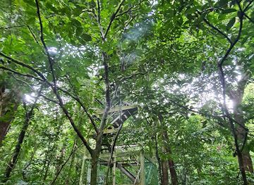 malaysia/mulu-national-park/attraction/mulu-tree-top-tower