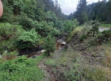 bosnia-and-herzegovina/posavina/attraction/vajiceva-voda