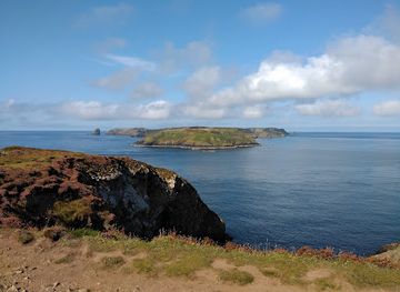 united-kingdom/pembrokeshire-coast-national-park/attraction/deer-park