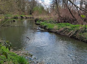 belgium/zenne-valley/attraction/grotte-de-spy
