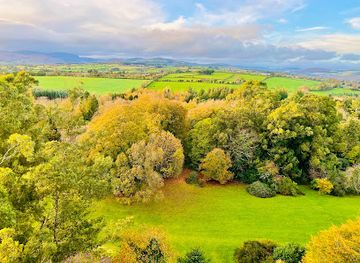 ireland/county-wicklow/attraction/treetop-walk-viewing-tower-entrance