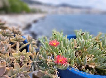 greece/kavala/attraction/tenedos-park