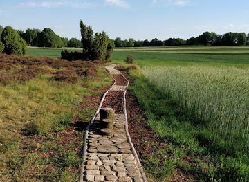 germany/lüneburg-heath/attraction/der-hopenberg