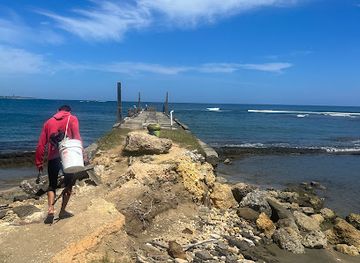 puerto-rico/arecibo-observatory/attraction/puerto-rico-iguana-hunts