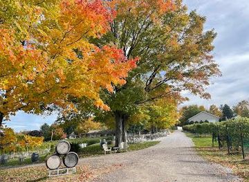 michigan/traverse-city/attraction/bowers-harbor-vineyards
