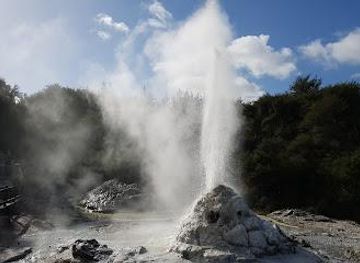 new-zealand/rotorua/attraction/lady-knox-geyser