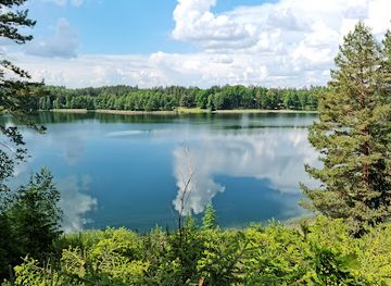 poland/suwalszczyzna/attraction/wigierska-kolej-waskotorowa