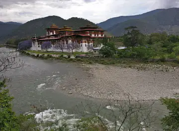 Royal Manas National Park