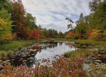 minnesota/southwestern-minnesota/attraction/spider-lake-atv-orv-orm-trails