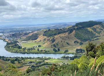 new-zealand/waikato/attraction/kauri-loop-track