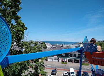 maine/ogunquit/attraction/york-s-wild-kingdom