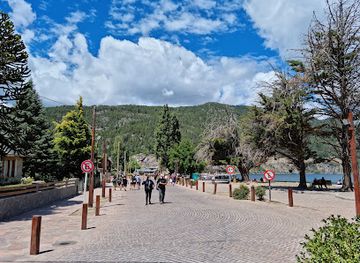 chile/patagonia/attraction/lake-lacar-waterfront