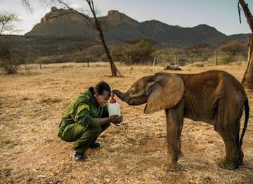 kenya/north-eastern-province/attraction/reteti-elephant-sanctuary