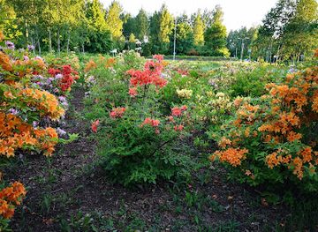 finland/jyvaskyla/attraction/kuokkala-arboretum