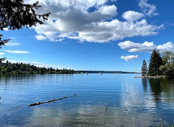 washington/olympic-national-park/attraction/seward-park-audubon-center