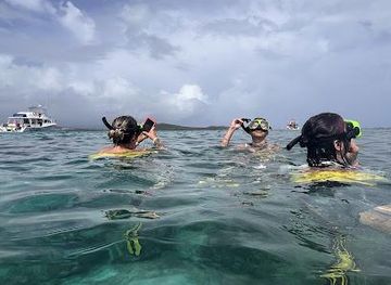 Snorkeling Puerto Rico | Boat Tours