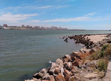 argentina/mar-del-plata/centro/attraction/reserva-de-lobos-marinos-del-puerto-de-mar-del-plata