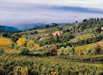 italy/chianti-classico/attraction/castellare-di-castellina-chianti-classico-riserva-vigna-il-poggiale