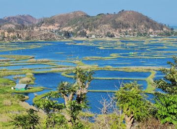 india/northeast-india/attraction/loktak-lake-moirang
