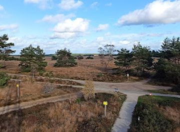 netherlands/veluwe-national-park/attraction/brandtoren