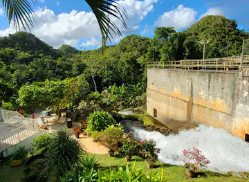 Jurassic Park of Arecibo