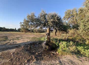 kazakhstan/bartogay-lake/attraction/artezian-su