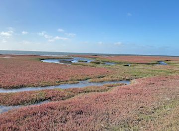 namibia/namib-naukluft-national-park/attraction/walvis-bay-lagoon-safe-view-point-2