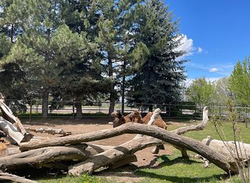 idaho/idaho-falls/attraction/idaho-falls-zoo-at-tautphaus-park