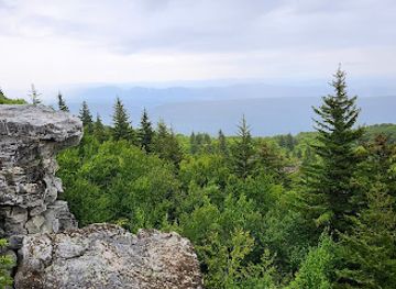west-virginia/dolly-sods-wilderness/attraction/bear-rocks