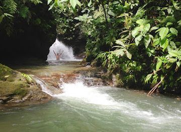 costa-rica/brunca-region/attraction/hacienda-ebano
