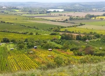 czechia/north-moravia/attraction/palava-protected-landscape-area