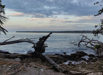 costa-rica/cahuita-national-park/attraction/mirador-ots-omarini